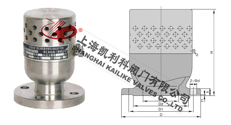 TFA72W負壓安全閥外形結(jié)構(gòu)圖